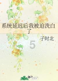 岱岳区卫生健康安全生产专业委员会2024年第一季度视频会议召开